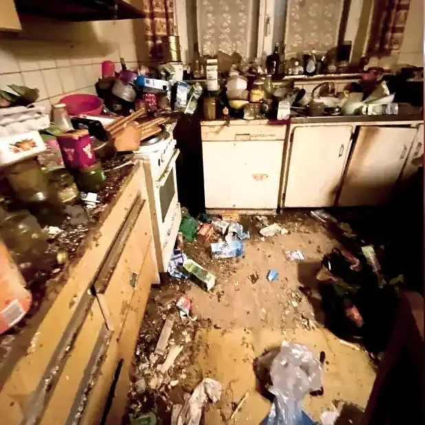 Messie-Wohnung Rastatt Easy-entsorgen Messie-Wohnung rastatt Easy-entsorgen