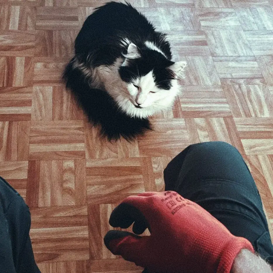 Effiziente Entrümpelung, Haushaltsauflösung für Privat und Firmen Effiziente Entrümpelung, Haushaltsauflösung für Privat und Firmen mit Easy-entsorgen